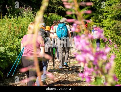 Randonnée en Bulgarie. Groupe de randonneurs féminins sur un sentier de randonnée dans la réserve naturelle et le parc national de Rila, montagne de Rila, Bulgarie, Balkans Banque D'Images