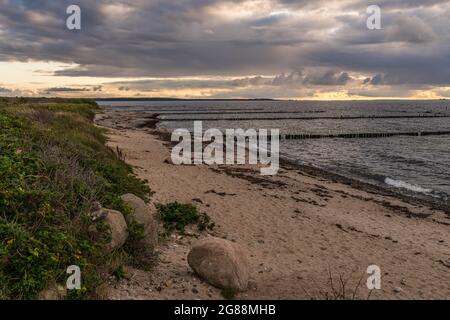 La plage de Dranske et la côte Baltique du See, Mecklembourg-Poméranie occidentale, Allemagne Banque D'Images