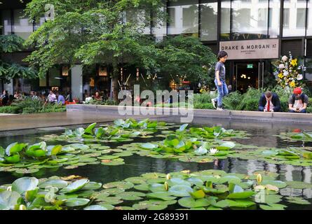 Des lilas aquatiques se trouvent en face du restaurant Drake & Morgan sur Pancras Square, derrière Kings Cross, dans le nord de Londres, au Royaume-Uni Banque D'Images