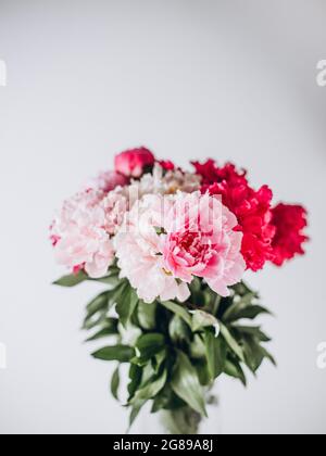 Fleurs de pivoine dans un vase sur fond blanc Banque D'Images