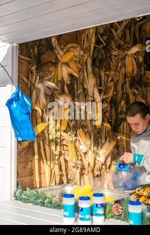 Sibiu, Roumanie - 16 novembre 2019. Vue sur le marché de Noël traditionnel dans le centre historique de Sibiu, Transylvanie, Roumanie. Banque D'Images