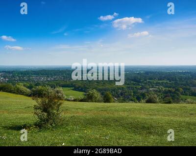Un large ciel bleu nuageux, une colline verte et les villes, les champs et les bois d'une vallée du Surrey. Un petit arbre est un point focal Banque D'Images