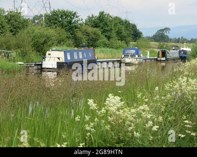 Staycation in Scotland : des bateaux étroits amarrés sur le canal Forth & Clyde lorsqu'il traverse Helix Park dans le centre de l'Écosse Banque D'Images