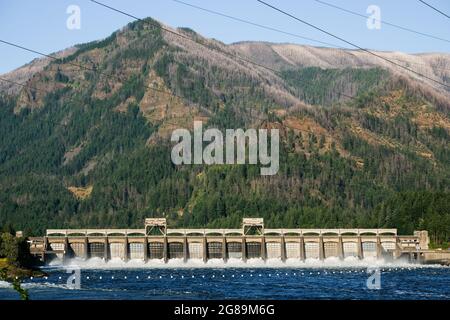 Le barrage de Bonneville sur le fleuve Columbia, Oregon, États-Unis. Banque D'Images