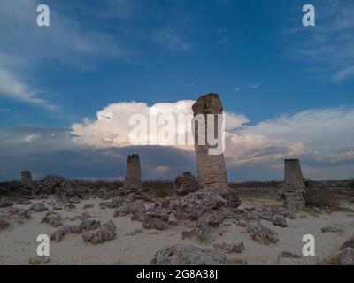 Forêt de pierres près de Varna, Bulgarie. Le seul désert des Balkans avec d'anciennes roches cylindriques Banque D'Images