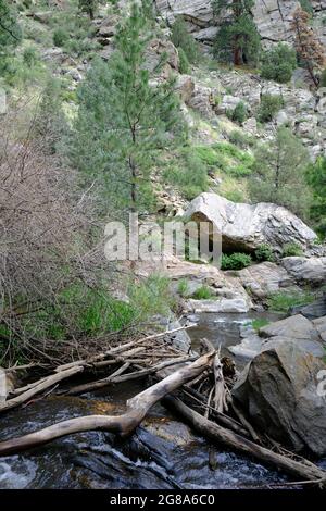 Beaver Brook Trail au Colorado Banque D'Images