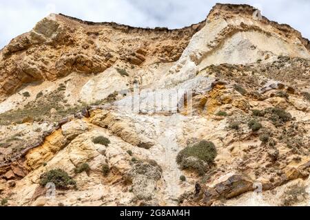 Worborrow Bay, Jurassic Coast, Dorset, Royaume-Uni Banque D'Images