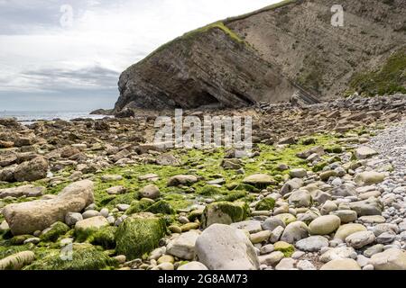 Pondfield Cove, Worborrow Bay, Jurassic Coast, Dorset, Royaume-Uni Banque D'Images