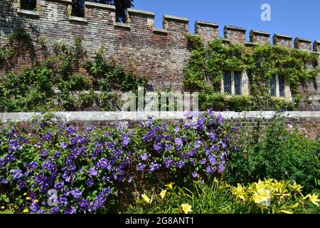 Lits de fleurs, bordures, mur de style cénolé Tudor et fleurs à Penshurst place, Kent, le jour d'été Banque D'Images