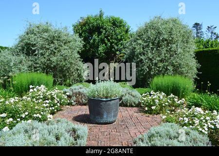 Un beau jardin isolé avec des gris et des verts à Penshurst place, Kent, autrefois une maison du roi Henri VIII Banque D'Images