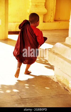 Les novices birmans jouant de l'argent de recevoir un don de la part de la birmanie les gens et les voyageurs étrangers visitent respect prier au temple de Pagoda Paya de Shwezigon à Bagan Banque D'Images