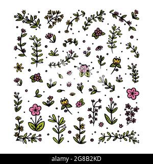 Fleurs, feuilles et branches éléments pour ornements. Motif fleuri décoratif pour différents motifs. Illustration vectorielle Doodle isolée en blanc Illustration de Vecteur