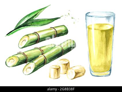 Jus de canne à sucre avec verre à boire, feuilles et morceaux de coupe ensemble de canne. Aquarelle illustration dessinée à la main isolée sur fond blanc Banque D'Images