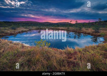 Superbe paysage d'automne et petit lac dans le marais. Des lumières de lever de soleil spectaculaires et des nuages réfléchissent sur l'eau dans la tourbière, Tinovul Mohos, Transylvanie Banque D'Images