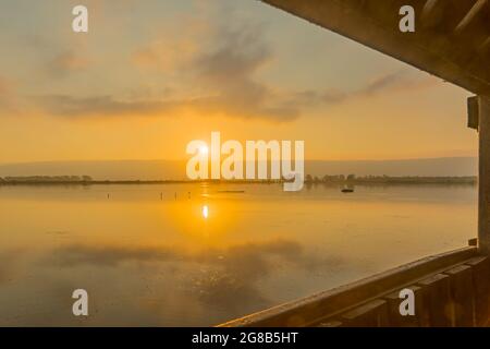 Vue au lever du soleil sur la zone humide depuis le pont flottant, dans la réserve naturelle de Hula, dans le nord d'Israël Banque D'Images