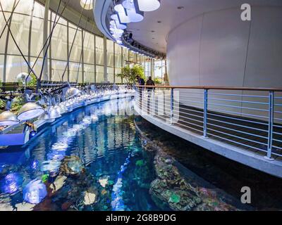 San Francisco, 20 MAI 2021 - vue intérieure de l'Académie des sciences de Californie Banque D'Images