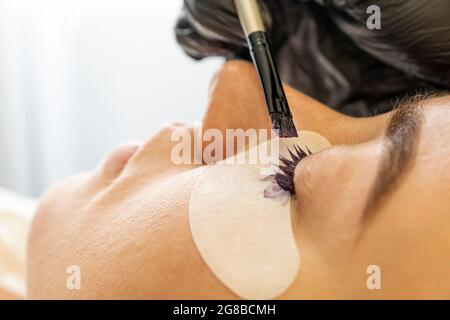 Procédures de traitement des cils. Femme faisant des cils laminage, coloration, curling, laminage et extension pour les cils. Le maître peint la cli Banque D'Images