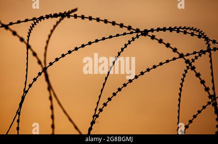 Fil métallique pointu barbelé au coucher du soleil, traité dans le style de silhouette. Banque D'Images
