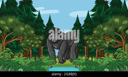 Gorilla dans la forêt ou la forêt tropicale scène avec de nombreux arbres illustration Illustration de Vecteur