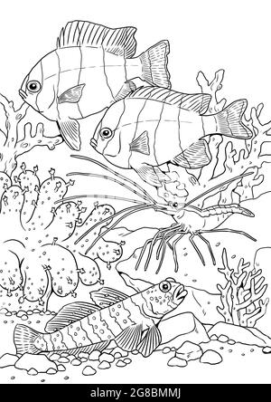 Poissons marins tropicaux avec crevettes. Modèle numérique coloré de poisson de mer. Livre de coloriage pour les enfants et les adultes. Banque D'Images