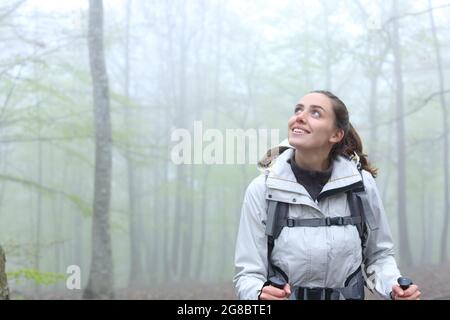 Vue de face d'un trekker émerveillé en regardant au-dessus dans une forêt brumeuse Banque D'Images