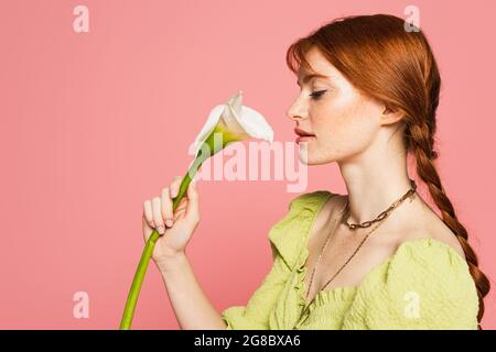 Vue latérale d'une femme avec des taches de rousseur tenant un nénuphar isolé sur du rose Banque D'Images
