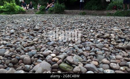 Une réserve naturelle située près de la rivière Arrow près d'Alscester, Warwickshire et près de la frontière du Worcestershire. Une promenade paisible à travers la longue herbe, les orties, diverses fleurs sauvages près de la rivière Arrow. La pêche est également une attraction ici ainsi que des sorties familiales par les pierres de galets sur le bord de l'eau. Banque D'Images