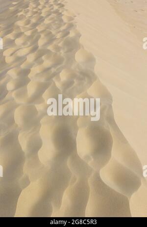 Plan vertical des dunes Banque D'Images