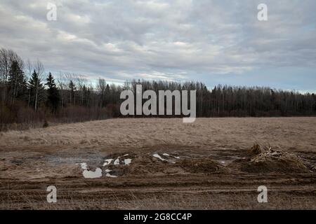 Paysage rural d'un champ avec des traces de machines. Forêt à un bord du champ. Banque D'Images