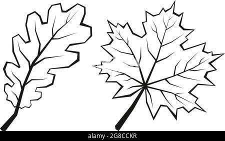Feuilles d'érable et de chêne Illustration de Vecteur