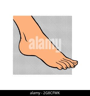 Dessin au trait des jambes femelles sur un fond de motif. Pédicure, soins du corps et beauté. Contour de l'illustration vectorielle Illustration de Vecteur