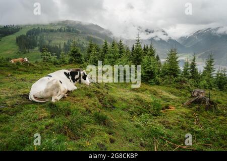 Schlegeis Stausee vue sur le lac depuis le sentier de randonnée de montagne. Zillertal, Autriche, Europe Banque D'Images