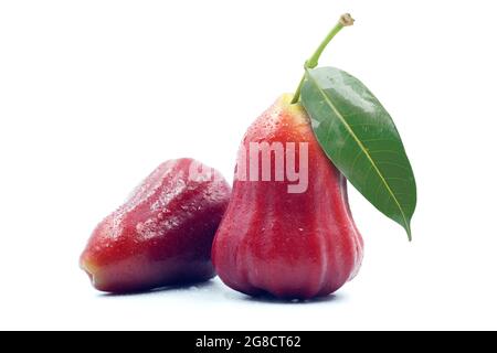Pomme rose ou chomphu avec feuille verte isolée sur fond blanc Banque D'Images