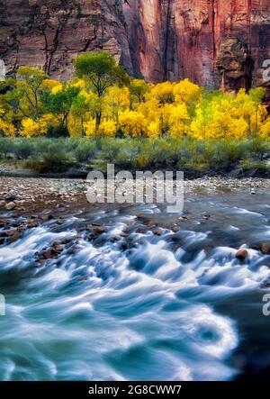 La Chaire et la couleur de l'automne avec la rivière Vierge au Temple de Sinawava. Zion National Park, Utah Banque D'Images