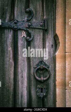 Pyrale du faucon des pins (Sphinx pinatri) sur une ancienne porte d'église en bois, sud de l'Angleterre, Royaume-Uni Banque D'Images