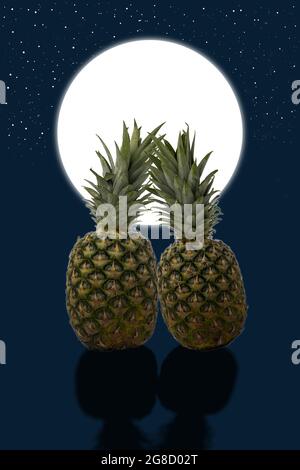 Deux ananas amoureux au clair de lune. Banque D'Images