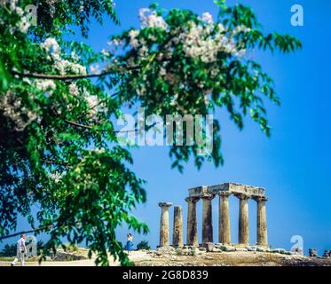 Temple d'Apollon, Corinthe antique, Corinthia, Péloponnèse, Grèce, Europe, Banque D'Images