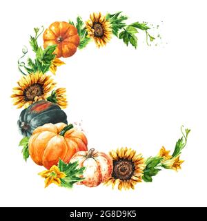Cadre rond d'automne doux. Citrouilles et tournesols décoratifs mûrs frais. Illustration aquarelle dessinée à la main, isolée sur fond blanc Banque D'Images
