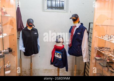 USHUAIA, ARGENTINE - 6 MARS 2015 : boutique de souvenirs dans une prison, où se trouve Museo del Presidio, Ushuaia, Argentine Banque D'Images