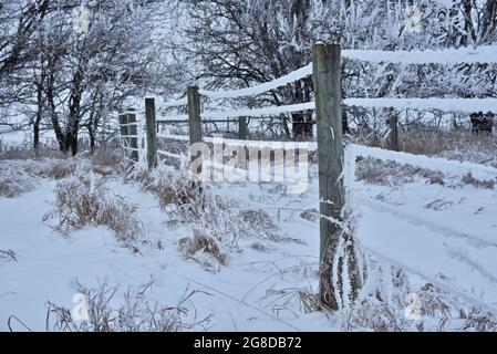 Cristaux de glace brillants de givre provenant de la barrière de pâturage recouverte de vapeur d'eau, d'arbres et de graminées sur une ferme après une tempête de neige hivernale dans le Wisconsin, aux États-Unis Banque D'Images