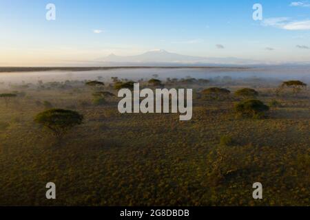 Vue aérienne de la savane herbeuse avec des acacia et brume avec Mt. Kilimanjaro dans la distance, ciel bleu Banque D'Images
