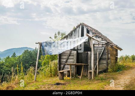 Cabane en rondins abandonnée sur une montagne en Serbie. Banque D'Images