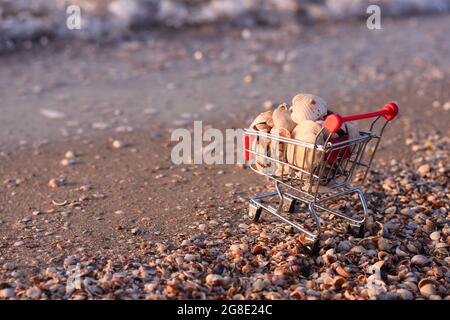 coquillages dans le panier. sur la plage sur le bord de mer. espace de copie Banque D'Images