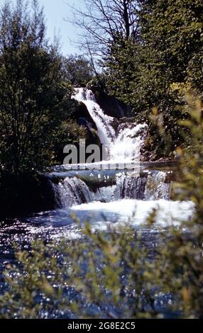 Parc national de Plitvice à Croazia Banque D'Images