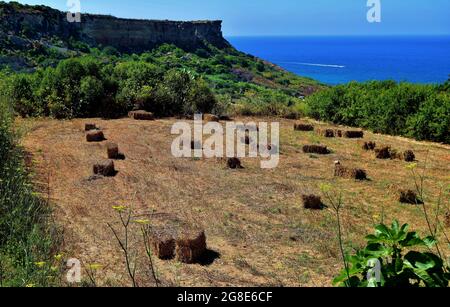 NADUR GOZO, MALTE - 28 juin 2015 : piles rectangulaires de foin dans un champ en terrasse récolté, de couleur dorée à Gozo, Malte, pendant une journée d'été. Fi Banque D'Images