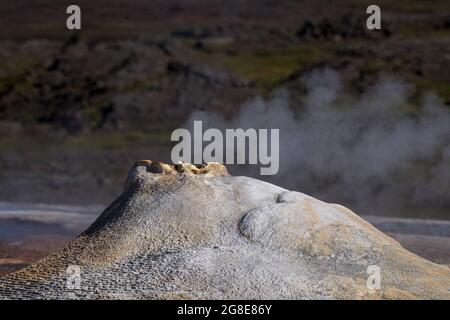 Source chaude à la vapeur Oeskjuhoell ou Oeskurholhver, zone à haute température ou zone géothermique Hveravellir, Kjoelur, Highlands, Islande Banque D'Images