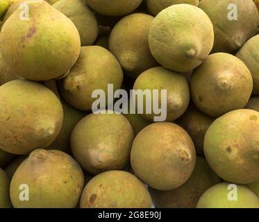 Fruits Sapote sur le marché colombien traditionnel - Quararibea cordata Banque D'Images