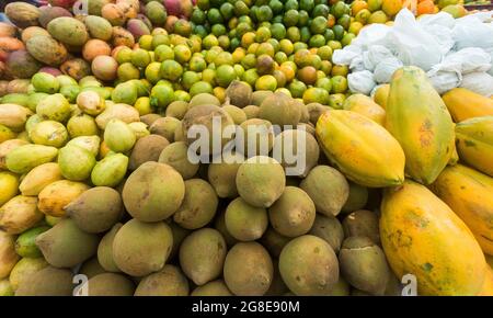 Quararibea cordata - fruits Sapote sur le marché colombien traditionnel Banque D'Images