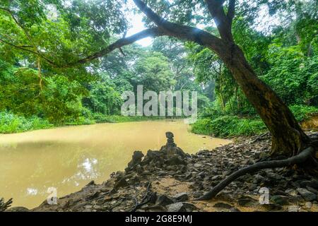 Voodoo scultpres dans le site de l'UNESCO Osun-Osogbo Sacred Grove, État d'Osun, Nigeria Banque D'Images