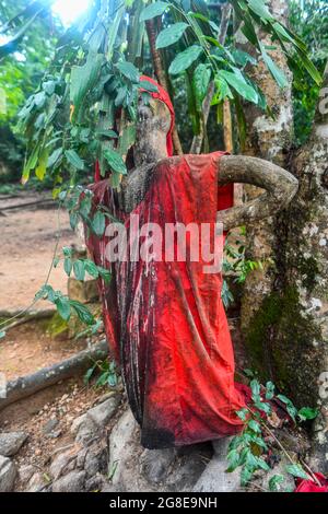 Voodoo scultpres dans le site de l'UNESCO Osun-Osogbo Sacred Grove, État d'Osun, Nigeria Banque D'Images